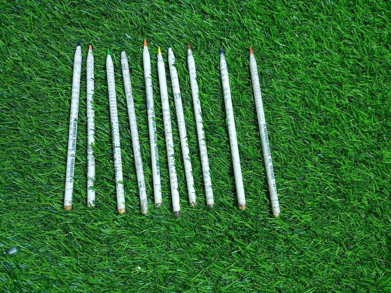 Lilyport Pen and Pencil Using Paper